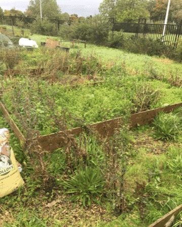 Garden-Maintenance-Cambuslang-1