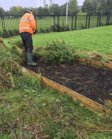 Garden-Maintenance-Cambuslang-2