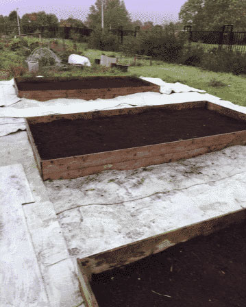 Garden-Maintenance-Cambuslang-3