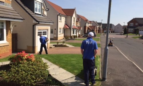 Garden-Maintenance-Page-pl81r9h8rr1qa0iq5y1bq1zqm9i9nyzomf6u00icoo