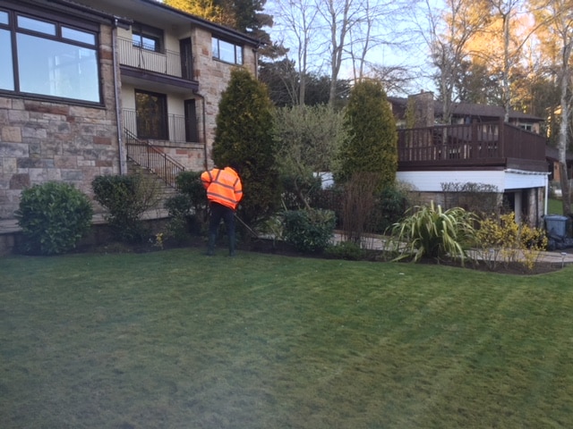 Garden-Tidy-Up-Bothwell-2