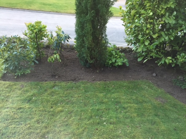Garden-Tidy-Up-Bothwell-3