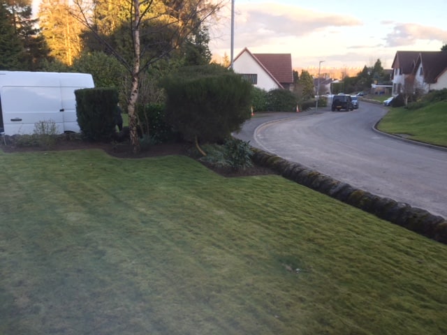 Garden-Tidy-Up-Bothwell-4