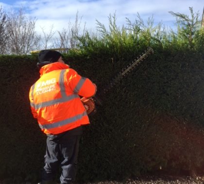 Hedge Trimming Job at Newton Mearns