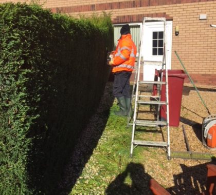 Hedge Trimming Job at Newton Mearns