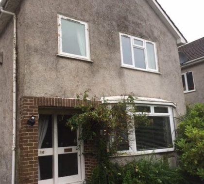 Ivy Removal Rutherglen