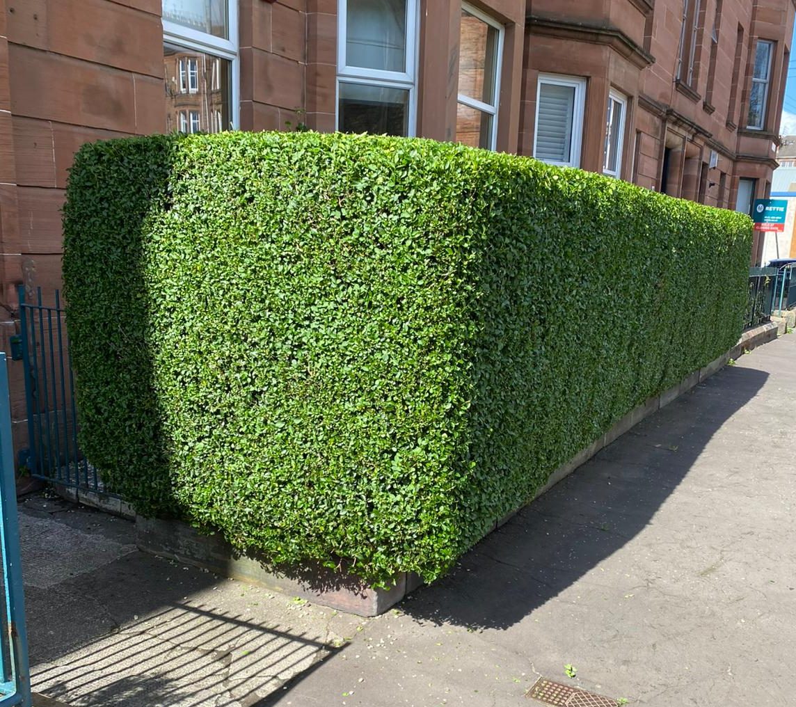 Residential ground maintenance Glasgow