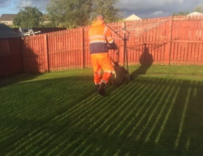 Baillieston-Grass-Cutting-2-rotated