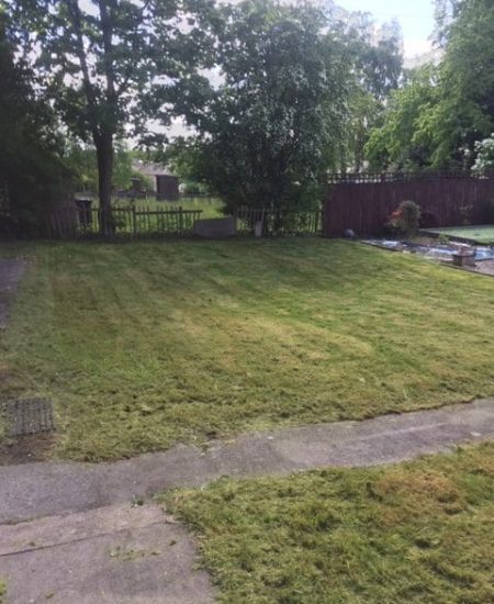 Burnside Grass Cut After rotated