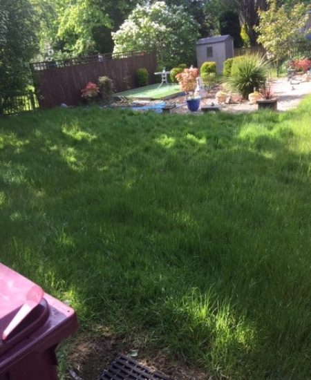 Burnside Grass Cut Before rotated