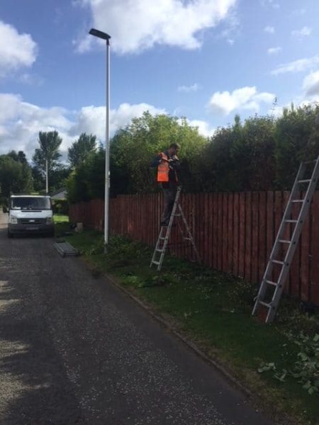 Hedge Trimming Job Giffnock