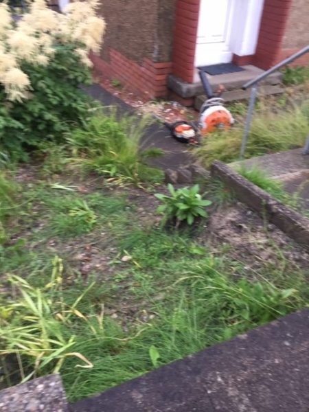 Garden Tidy Up Shawlands