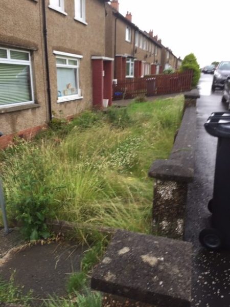 Garden Tidy Up Shawlands