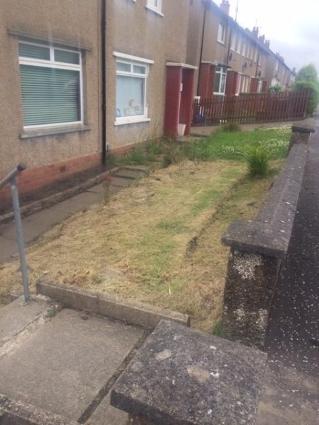 Garden Tidy Up Shawlands