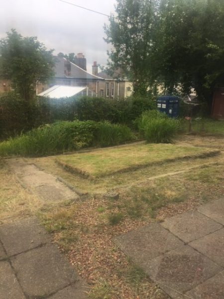 Garden Tidy Up Shawlands