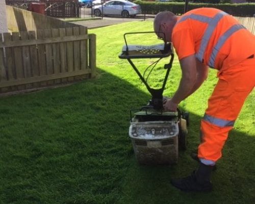 Regular-Grass-Cutting-rotated