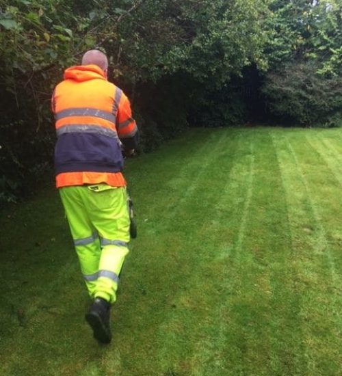 giffnock-grass-cutting-rotated
