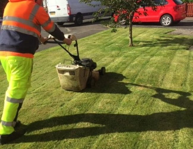 grass-cutting-paisley-rotated
