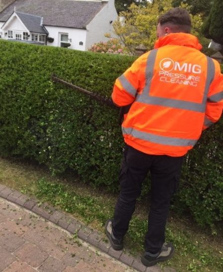 hedge-trimming-burnside-rotated